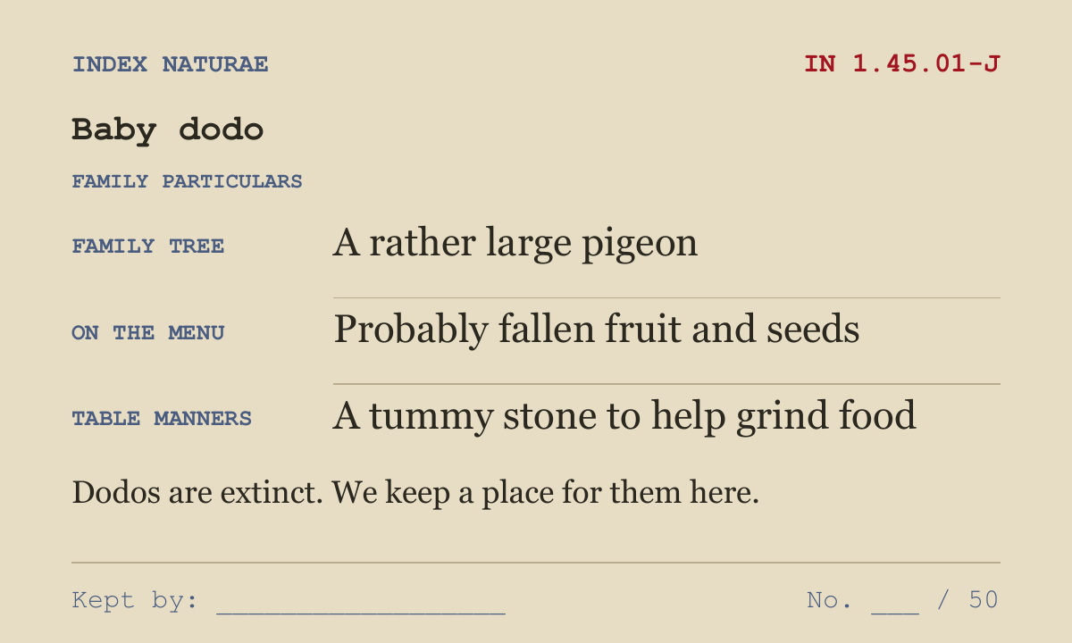 Baby Dodo family particulars on the reverse