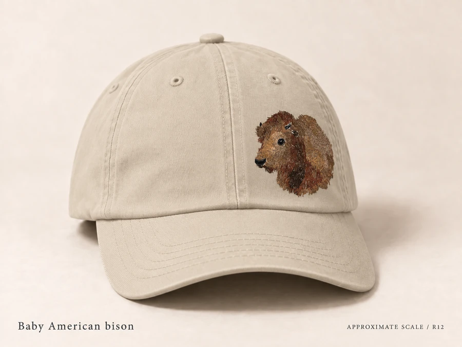 Earlier illustrative American bison cap study; superseded design