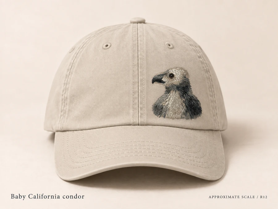 Earlier illustrative California condor cap study; superseded design