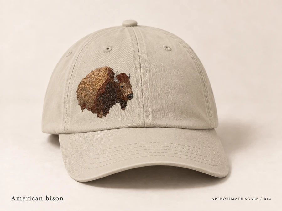 Earlier illustrative American bison cap study; superseded design