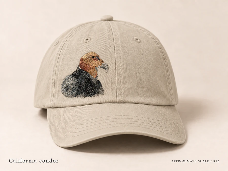 Earlier illustrative California condor cap study; superseded design