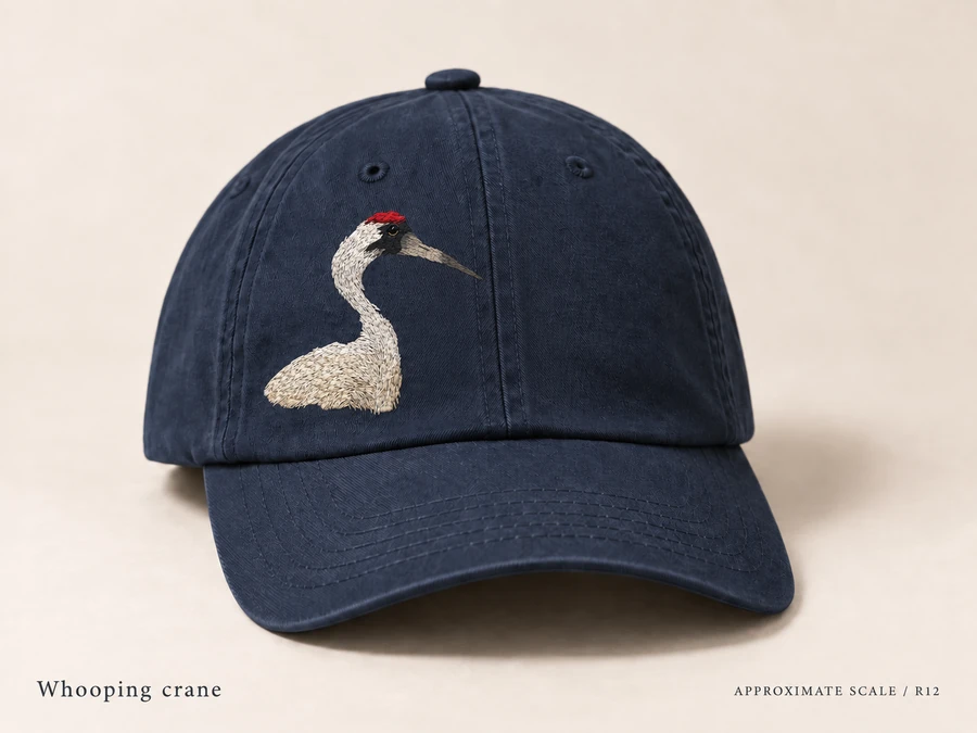 Earlier illustrative Whooping crane cap study; superseded design