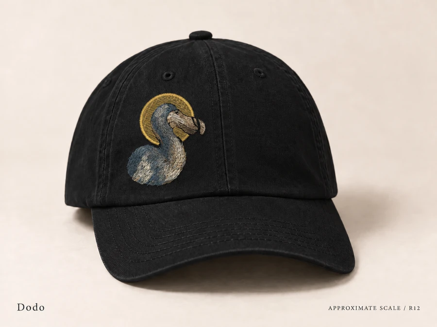 Earlier illustrative Dodo cap study; superseded design