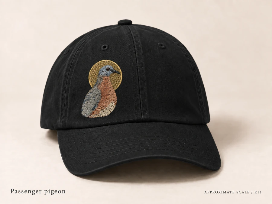 Earlier illustrative Passenger pigeon cap study; superseded design