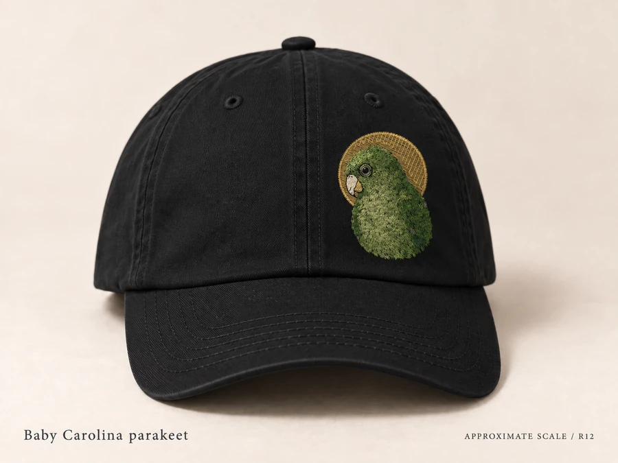 Earlier illustrative Carolina parakeet cap study; superseded design