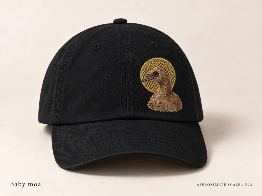 Earlier illustrative South Island giant moa cap study; superseded design
