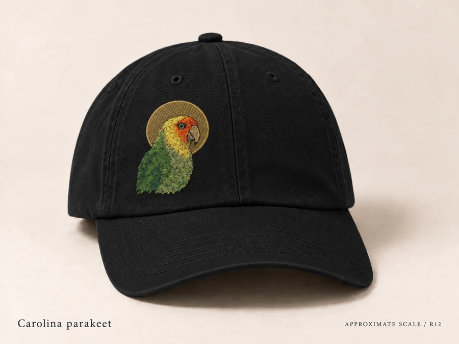 Earlier illustrative Carolina parakeet cap study; superseded design