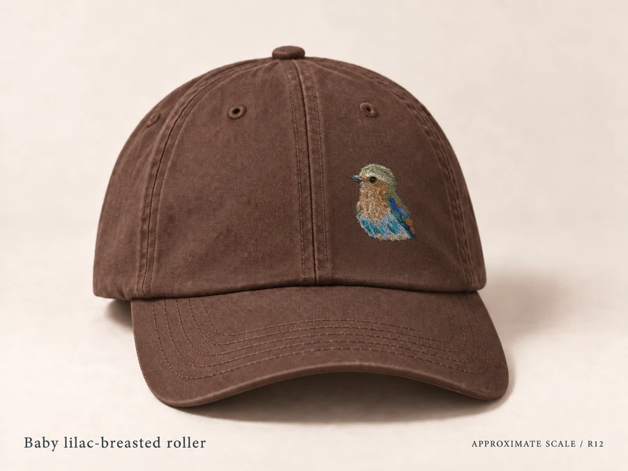Earlier illustrative Lilac-breasted roller cap study; superseded design