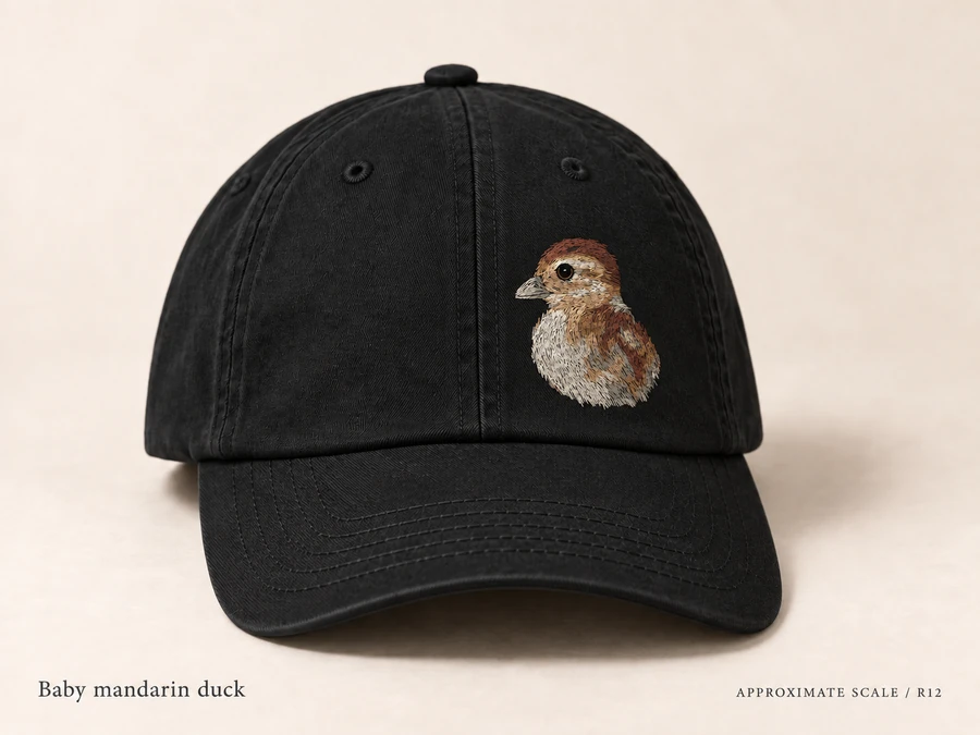 Earlier illustrative Mandarin duck cap study; superseded design
