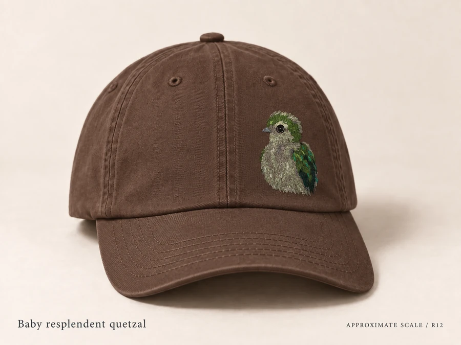 Earlier illustrative Resplendent quetzal cap study; superseded design