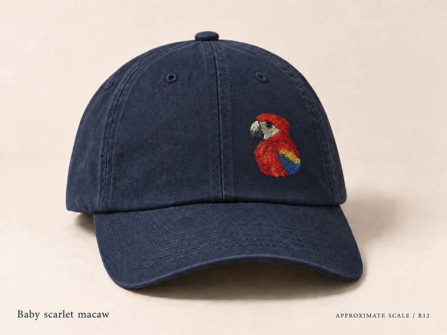 Earlier illustrative Scarlet macaw cap study; superseded design