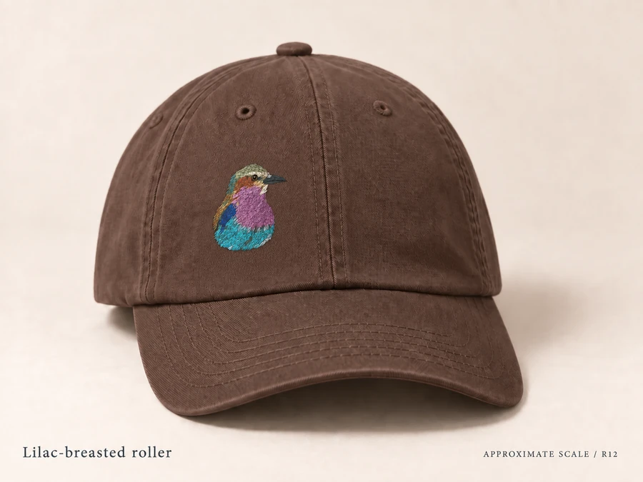 Earlier illustrative Lilac-breasted roller cap study; superseded design