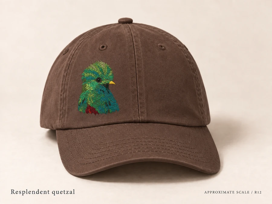 Earlier illustrative Resplendent quetzal cap study; superseded design