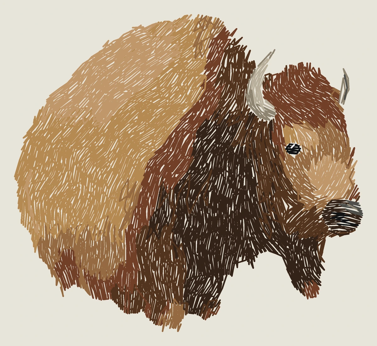 Current adult American bison digitized embroidery study; not a sewn sample