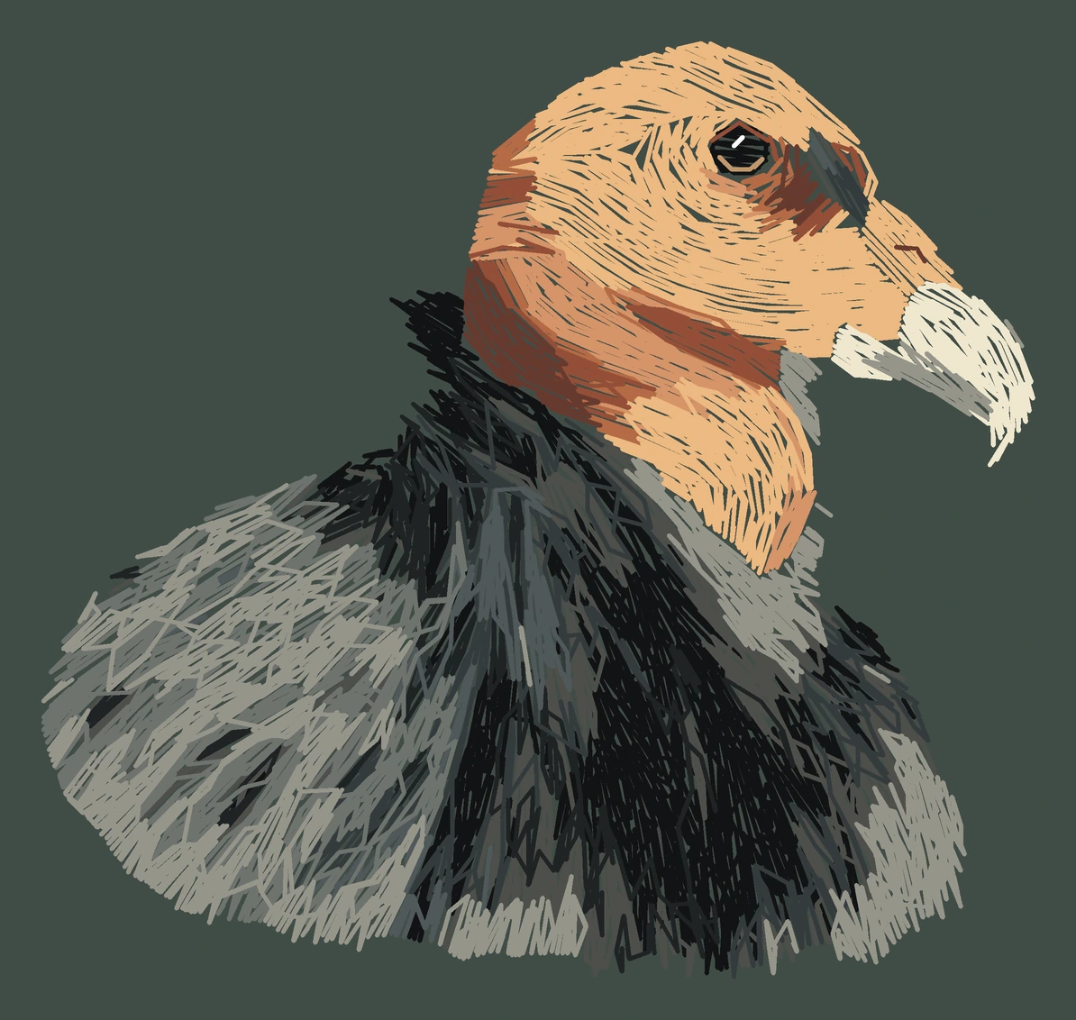 Current adult California condor digitized embroidery study; not a sewn sample