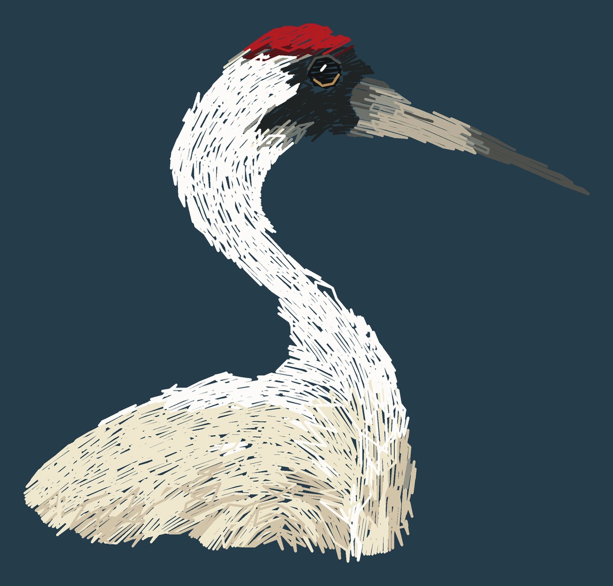 Current adult Whooping crane digitized embroidery study; not a sewn sample