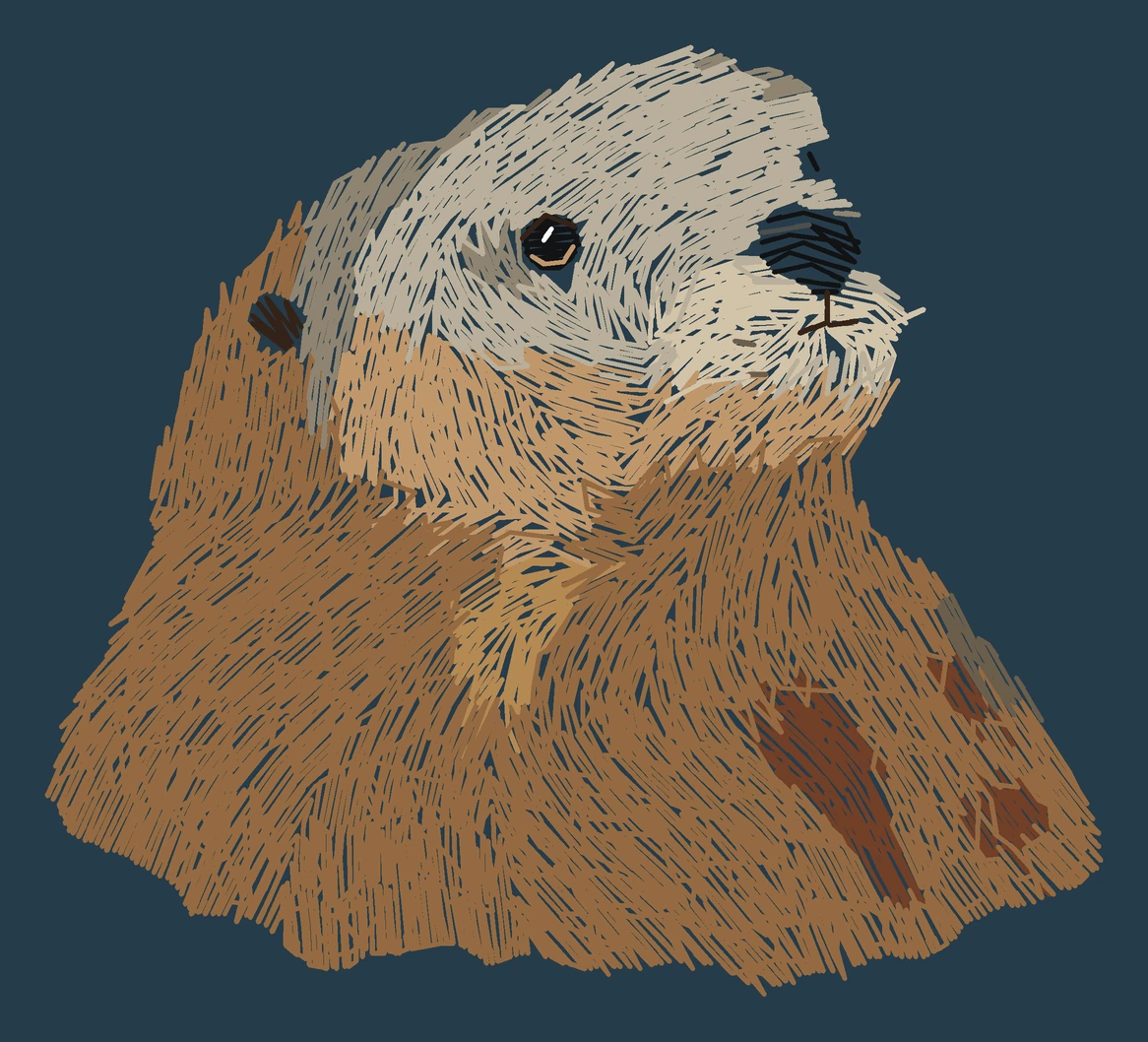 Current adult Southern sea otter digitized embroidery study; not a sewn sample