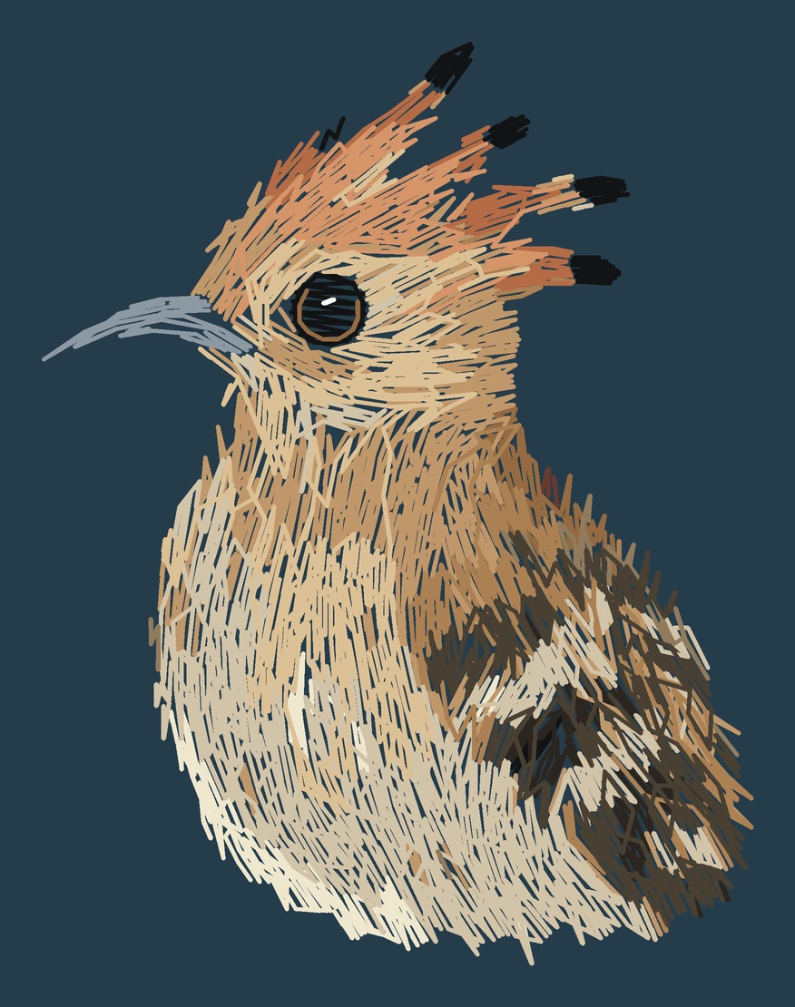 Current young Eurasian hoopoe digitized embroidery study; not a sewn sample