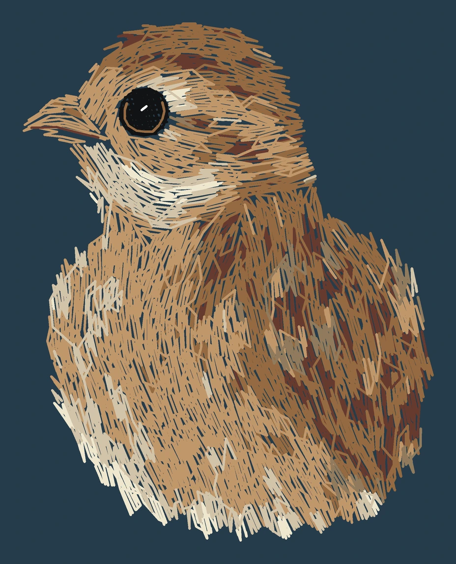 Current young Golden pheasant digitized embroidery study; not a sewn sample