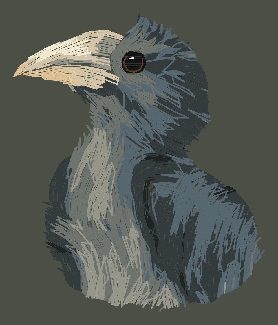 Current young Rhinoceros hornbill digitized embroidery study; not a sewn sample