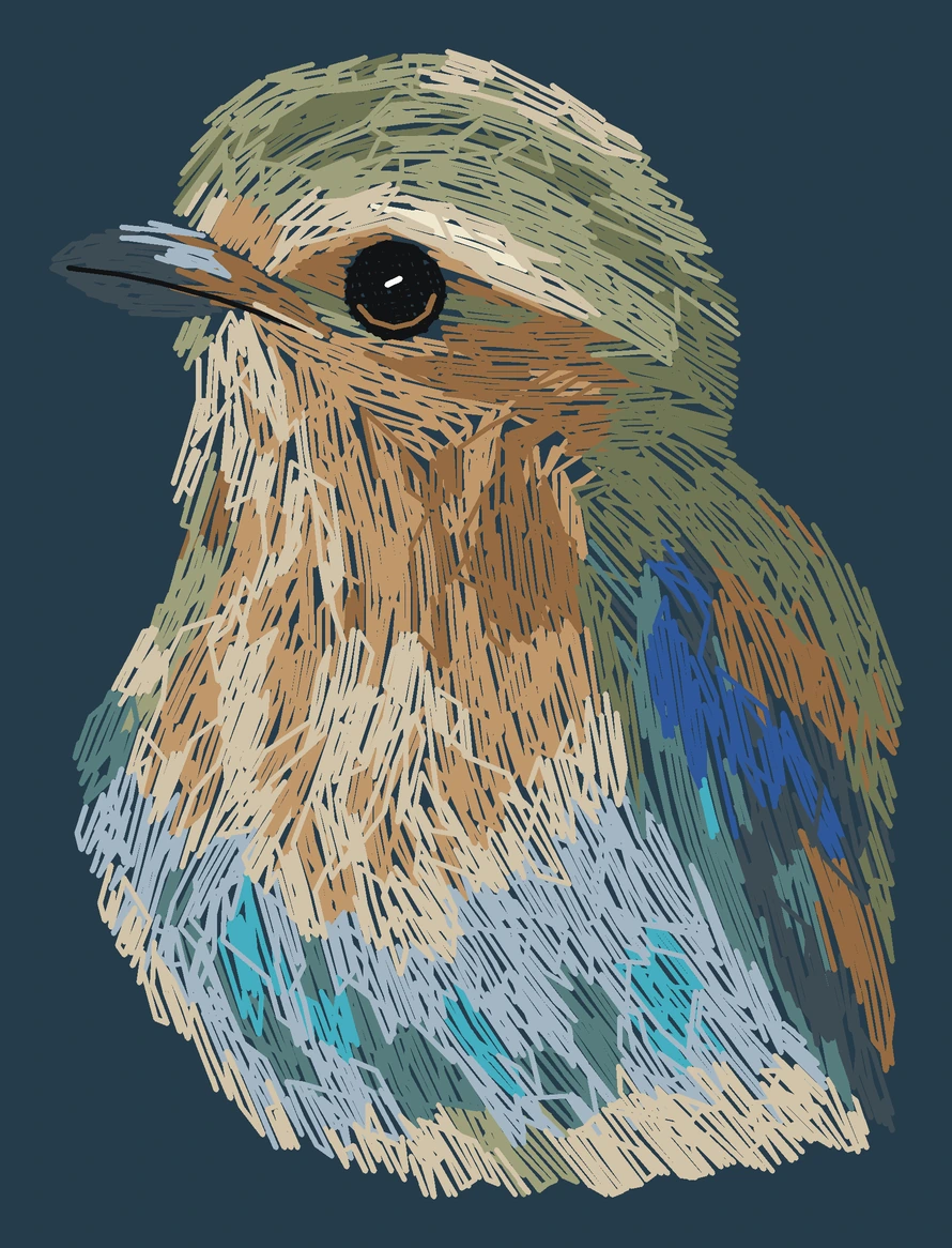Current young Lilac-breasted roller digitized embroidery study; not a sewn sample