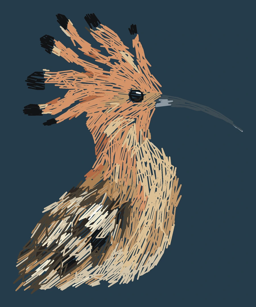 Current adult Eurasian hoopoe digitized embroidery study; not a sewn sample