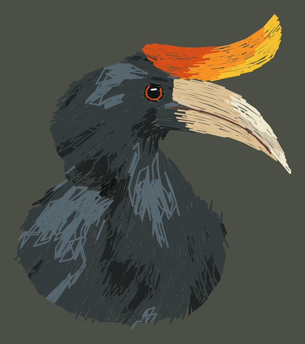 Current adult Rhinoceros hornbill digitized embroidery study; not a sewn sample