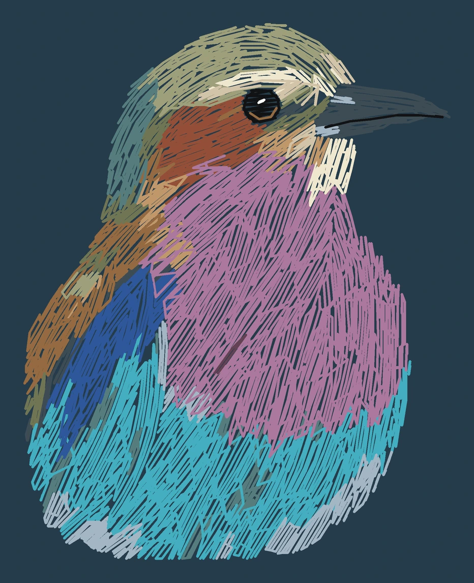 Current adult Lilac-breasted roller digitized embroidery study; not a sewn sample