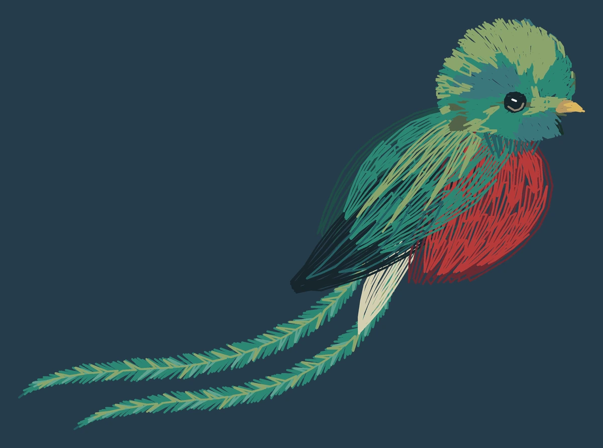 Current adult Resplendent quetzal digitized embroidery study; not a sewn sample