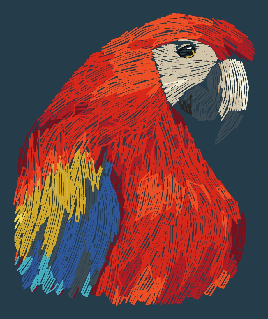 Current adult Scarlet macaw digitized embroidery study; not a sewn sample
